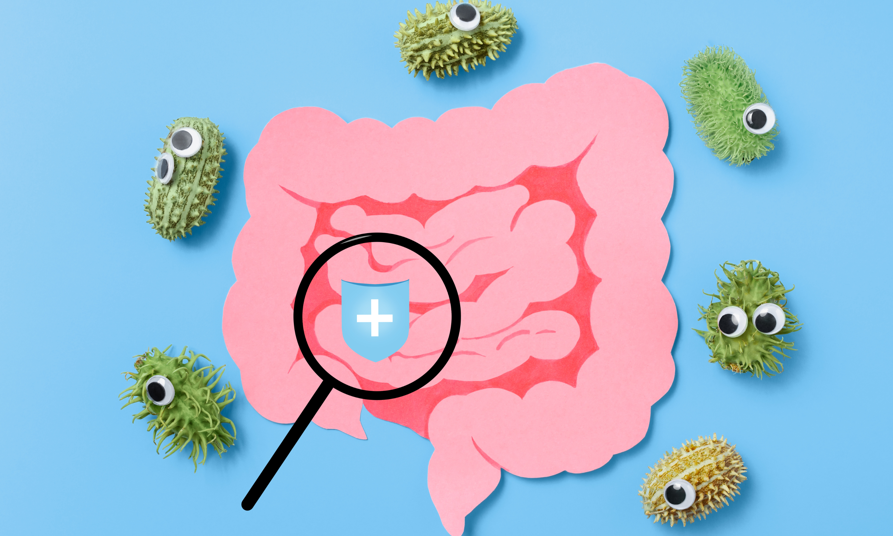 Probiotics: The Gut-Boosting Secret to Healthy Ageing and Weight Loss