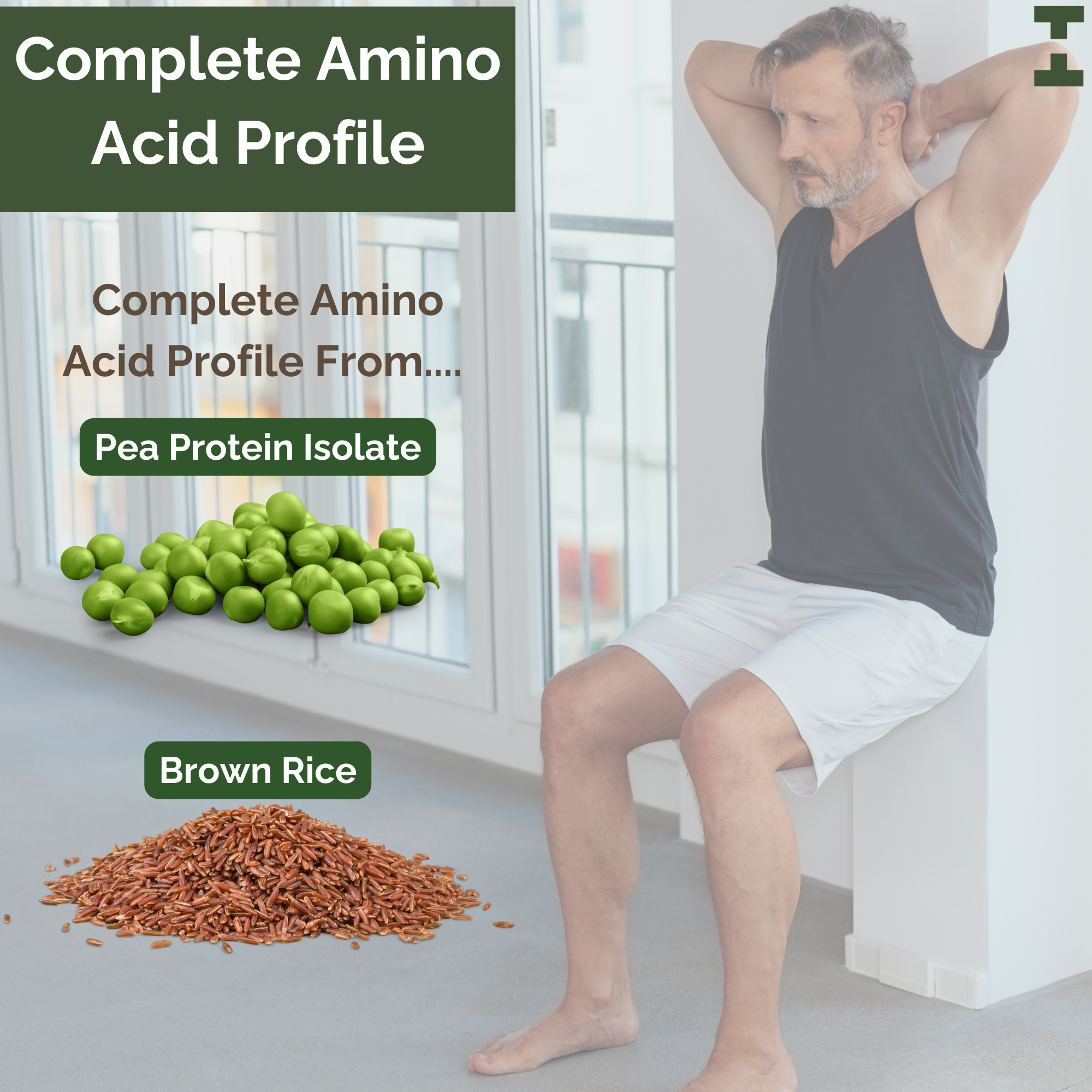 Fiber Fuel Plant Protein | 24 g Vegan Protein + 4 g Fiber | Belgian Chocolate or Unflavoured Fiber Fuel Plant Protein | 24 g Vegan Protein + 4 g Fiber | Belgian Chocolate or Unflavoured