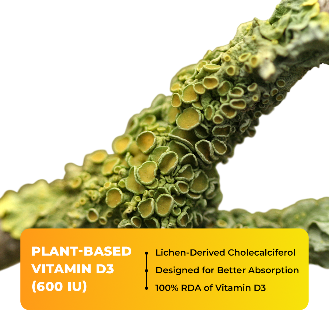 Daily Vitality Bundle | Vitamin D3+K2 | B-Complex
